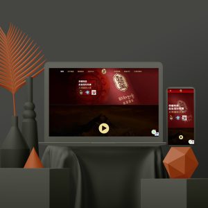 WEB DEVELOPMENT FOR QI XI GLOBAL 1024x1024